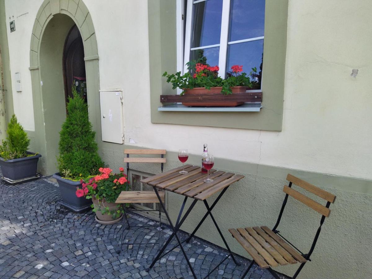 Apartmany Zatec エクステリア 写真