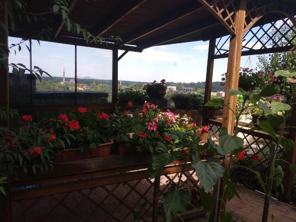 Apartmany Zatec エクステリア 写真