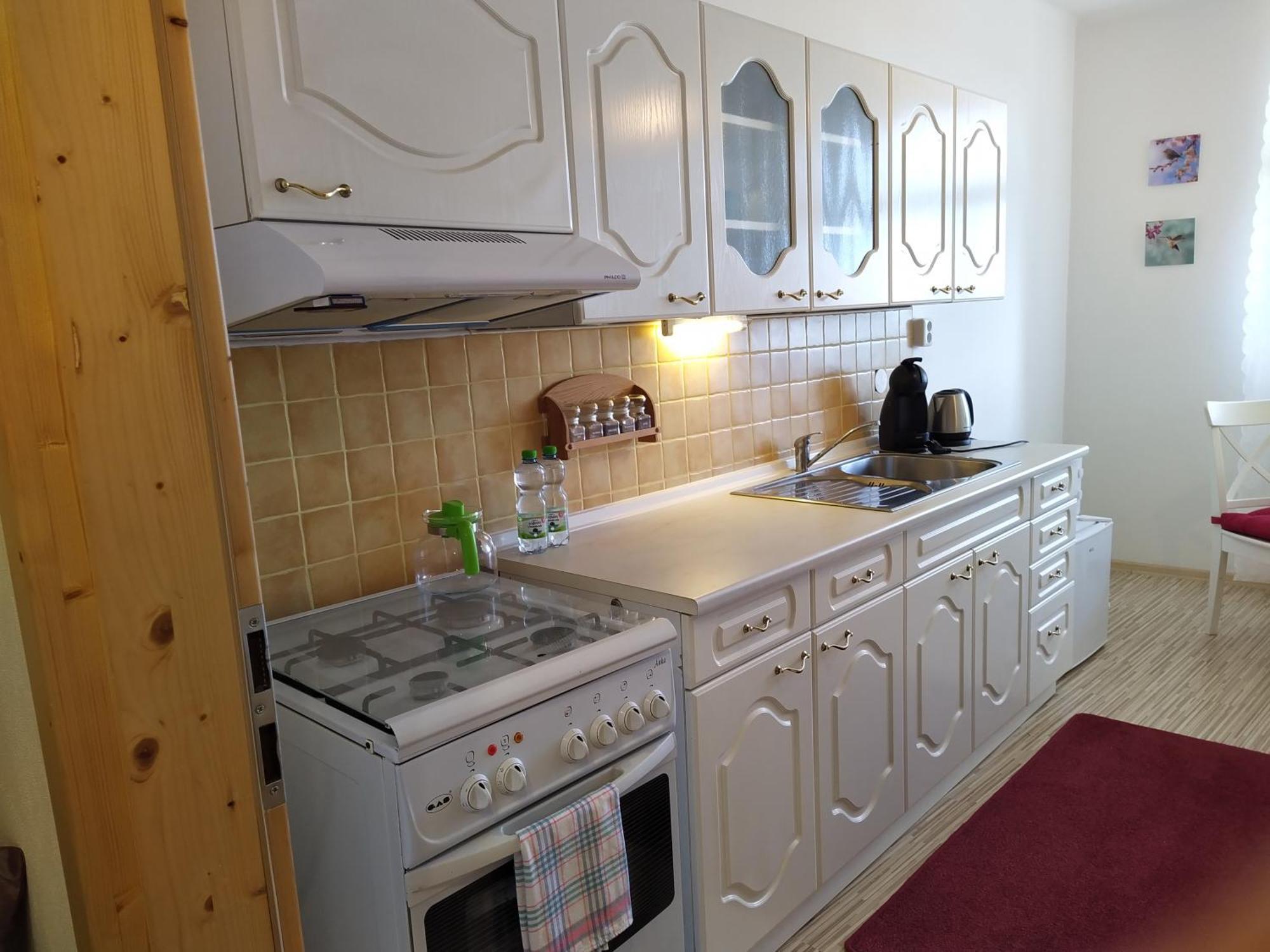 Apartmany Zatec エクステリア 写真