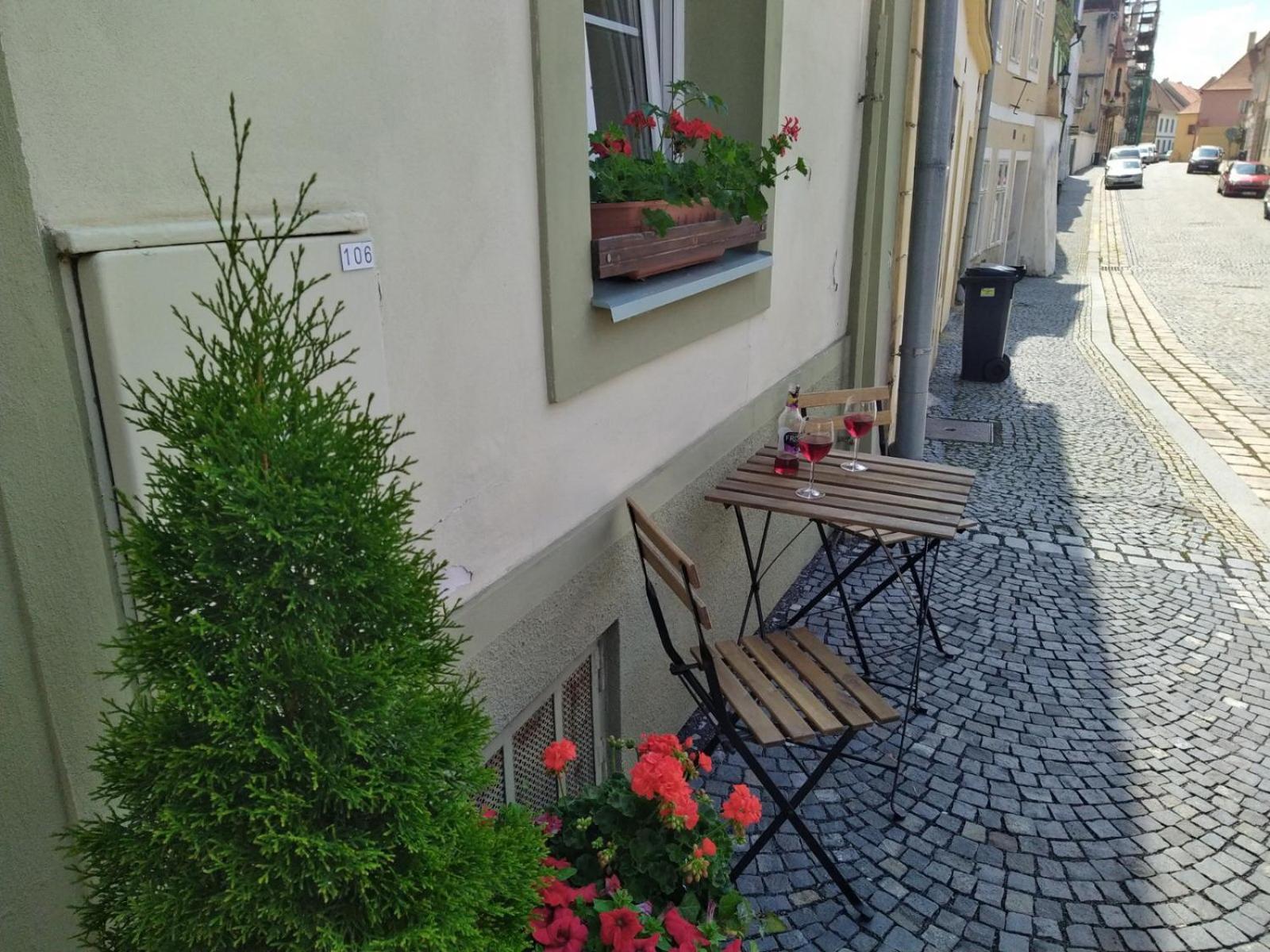 Apartmany Zatec エクステリア 写真