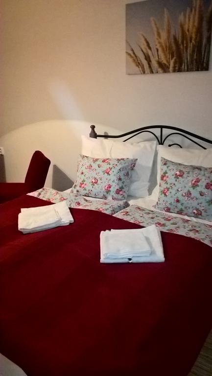 Apartmany Zatec エクステリア 写真