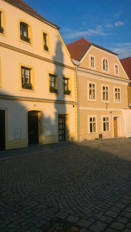 Apartmany Zatec エクステリア 写真